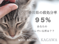 with animals KAGAWA